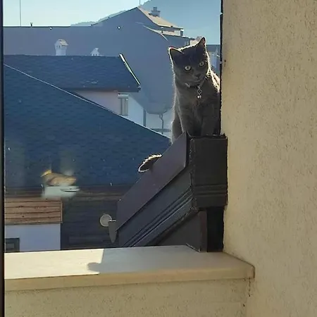 локация! * Bansko